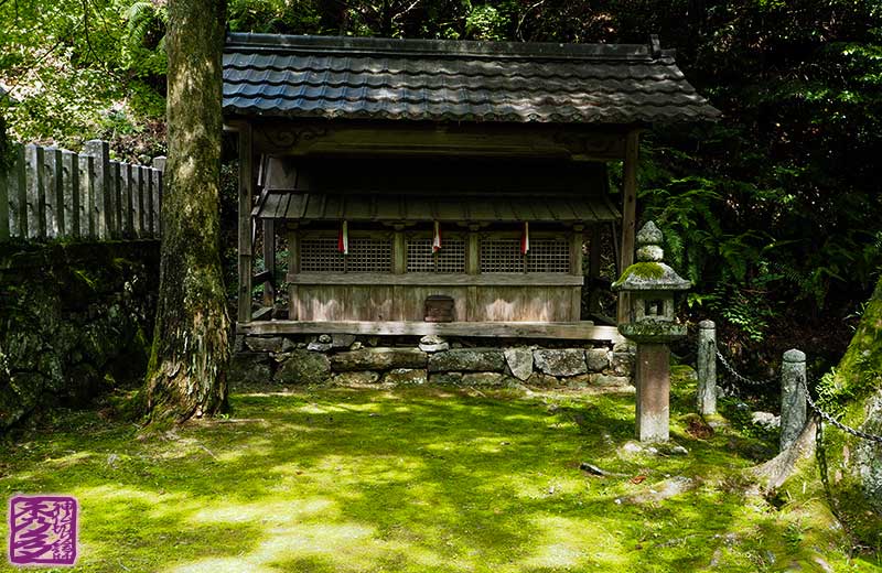 苔の絨毯で覆われた樫船神社の境内
