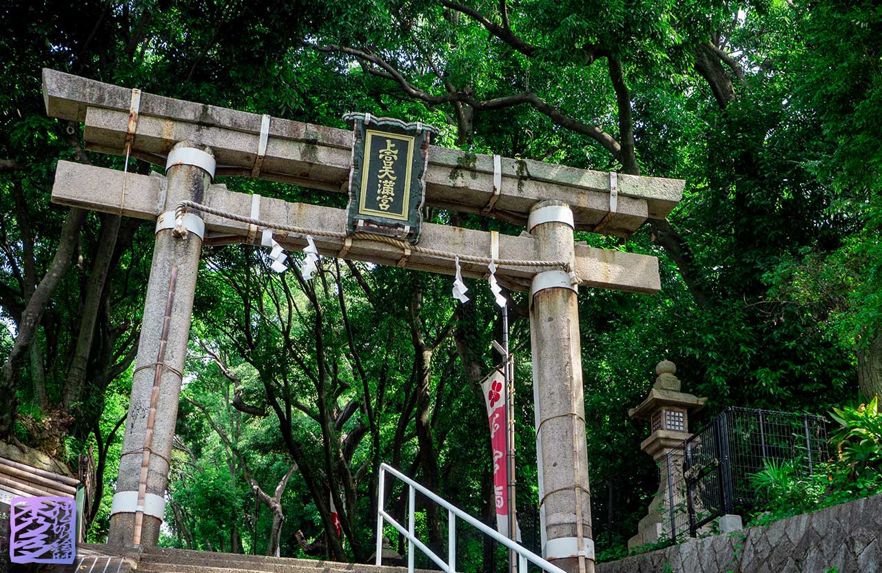 上宮天満宮(大阪府高槻市)竹造りの本殿と猫の神社