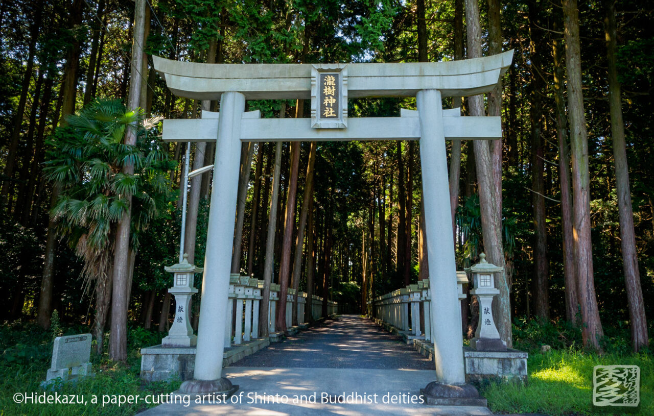 瀧樹神社の参道。ここから森の中へ。
